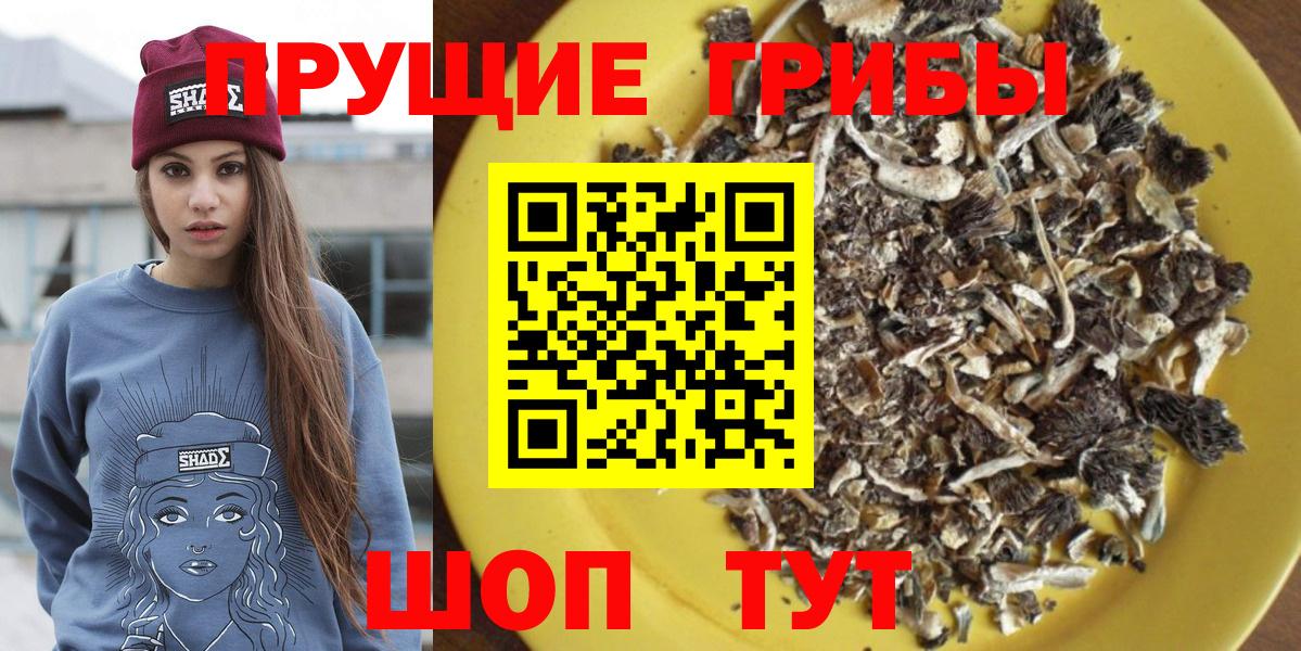 Галлюциногенные грибы мухоморы  Галлюциногенные грибы прущие грибы  Вход с VPN  Бирск 